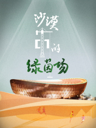 ɳĮ�е�����