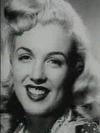 ������������ǵ���������