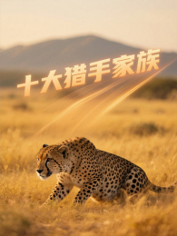 ʮ�����ּ���