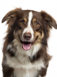 ������ҵ�嵥