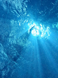 ���ܺ���Ӣ�İ�