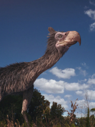 ʮ�������Ĳ�ʳ��