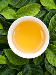 ���Ӽ�¼Ƶ�����衷����Ƭ�ε�2��