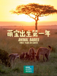 �ȱ�������һ��