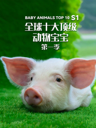 ȫ��ʮ�󶥼����ﱦ����1��Ӣ�İ�