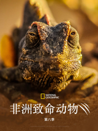 �������������8��