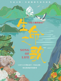 ����֮��