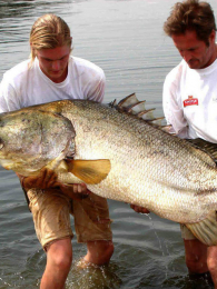 ��ս�����ܵĵ���