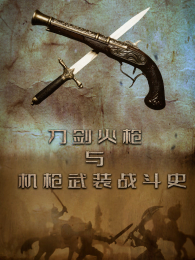 ������ǹ���ǹ��װս��ʷ