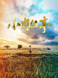 С�ڼ��µ�1��