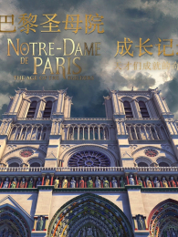 ����ʥĸԺ�ɳ���¼����ǳɾ͵��漣