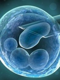 ��ϸ������