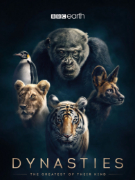 ������1��