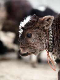 �漣֮�ص�2��