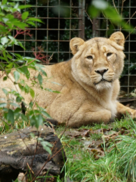 ̽�ض���԰��2��