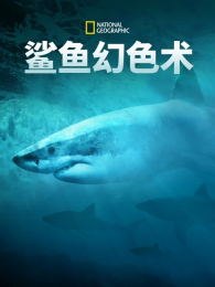 �����ɫ��