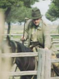 ������Ŀ�Ұ����