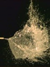 ������������