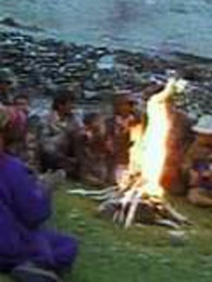 ���׶���ԭ���İݻ���