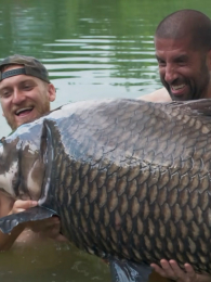 ׷�������5��