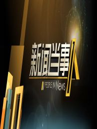 ���ŵ�����2015