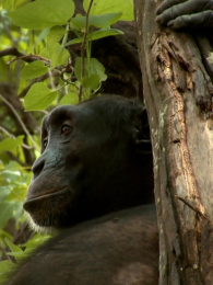 ������Ծ