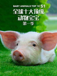 ȫ��ʮ�󶥼����ﱦ����1��