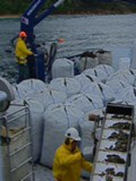 ��Խ�������ϵ�