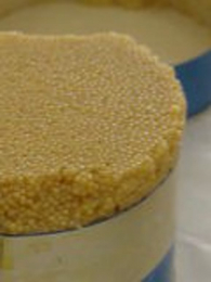 �ﺣ�����ӽ�