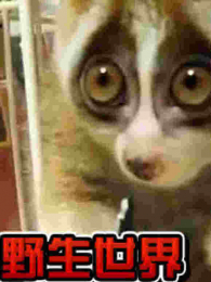 ����԰��Ұ�������2��