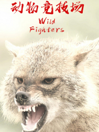 ���ﾺ����Ӣ�İ�