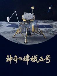 ������϶����