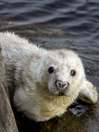 ��������������