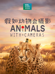 ���綯�����Ӱ