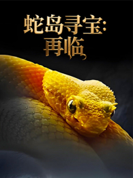 �ߵ�Ѱ������