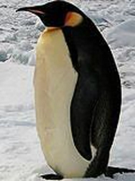 �й��ϼ�����