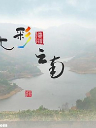 �߲�����