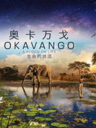 �¿���������ĺ������İ�