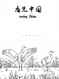 �����й�