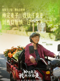 ���������Ҿ�������