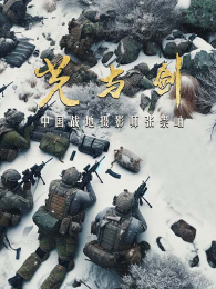 ���뽣�й�ս����Ӱʦ�ų��