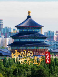 �й��������Ų�����ƪ