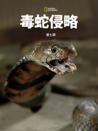 �������Ե�7��