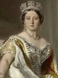 ŷ�޻�������