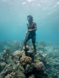 �Ϻ�����