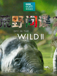 ��Ұ�����2�����İ�