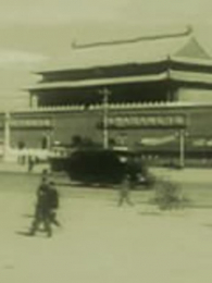 1949�꿪������