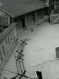 Ѫɫ�������Ҷ�����������