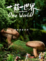 һ��һ����