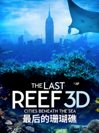 ����ɺ����